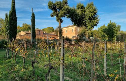 Fornace del Conte - Foto 8