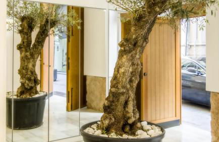 Catalina Suites Apartments Downtown Valencia - Foto 33