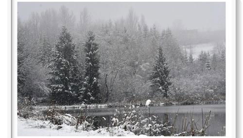 Superbe appartement au coeur du Jura - Foto 2