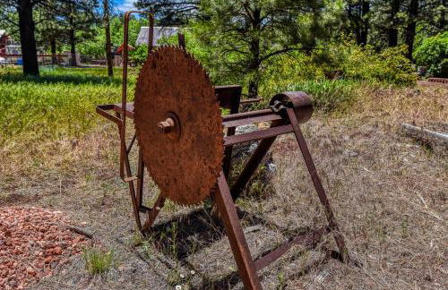 Rogers Cabin Historic Log Cabin in the Woods Near Grand Canyon Flagstaff - Foto 22