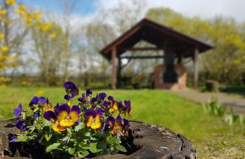 Agroturystyka Pod Modrzewiami - Foto 64