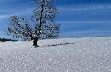 Maisonette-Ferienwohnung für bis zu 4 Personen - Foto 9