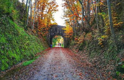 Casa Rural ARBEQUINA & Esquí La Covatilla - Foto 26