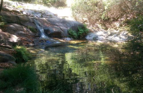 AFIFE "Porta da Alegria" - Foto 13