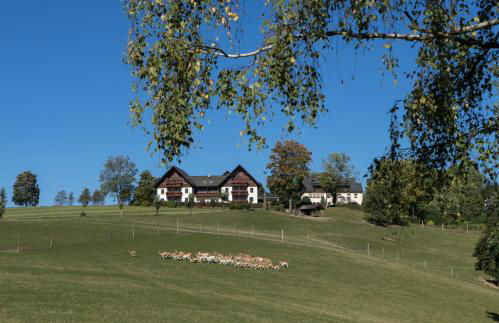 Ferienappartements Rausch - Foto 5