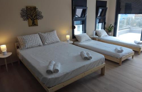 Silvi house - Photo 35