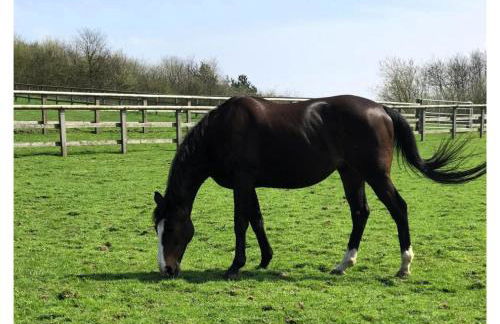 The Saddlery Barn Retreat - Foto 25