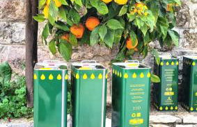 Trullo Bosco Libero Ostuni - Foto 32