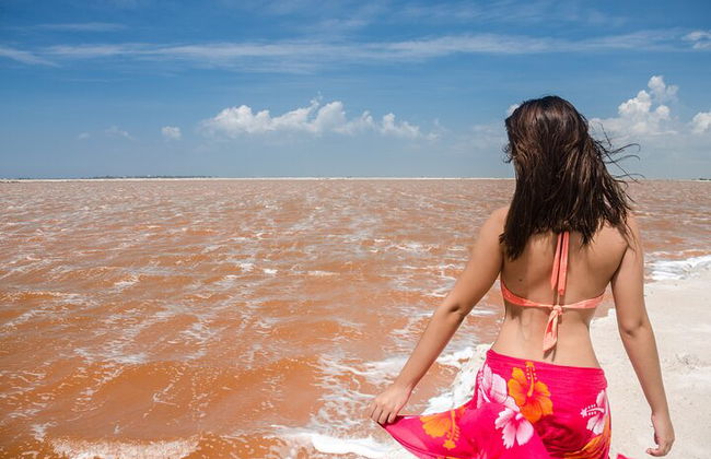 Paradiesische Tour: Las Coloradas Pink Lake und Rio Lagartos inklusive Mittagessen. - Foto 1