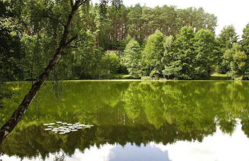 Feriensiedlung Am Grundlossee in Sewekow - Photo 12