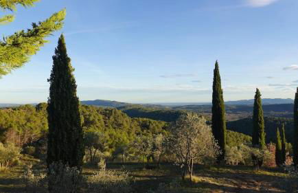 Les jardins de Saint Blaise - Foto 50