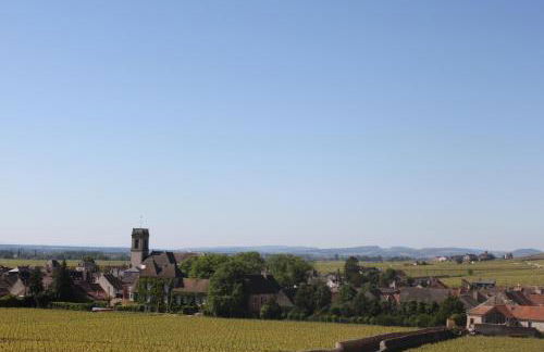 Ces Jours À Pommard - Foto 17