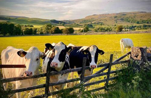 Charming dog-friendly Yorkshire Dales Cottage, Austwick - Foto 35