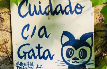 Cottage a Bossolasco con piscina - Foto 8