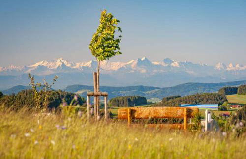 Haus Sonnenschein an der Skipiste - Foto 39