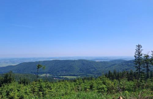 Sowie Pokoje - Foto 18