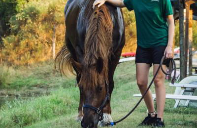 Agriturismo Podere Tegline - Foto 15