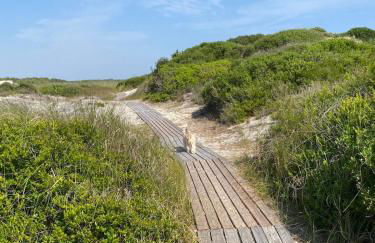 Antica casa a corte in paese - Foto 14