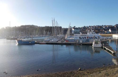 Les hortensias - Foto 33