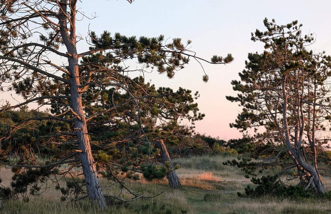 Luxury Retreat in Liseleje - By Traum Ferienwohnungen - Foto 10