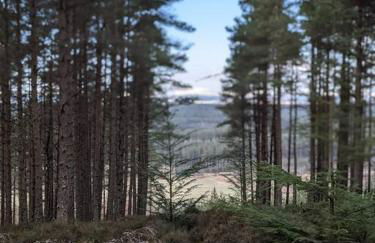 Applegrove, perfect 2 bed bungalow, Fortrose - Foto 59