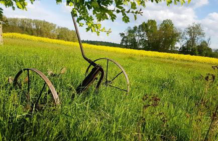 Ferienhaus Salvia - Foto 80