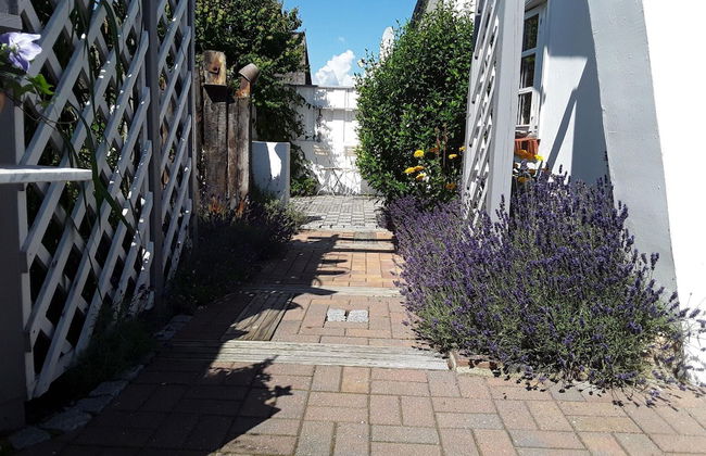 Ferienhaus in Zempin mit Garten - Photo 17