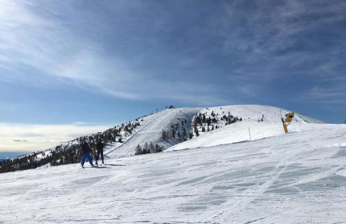 Maso Giulia - Foto 51