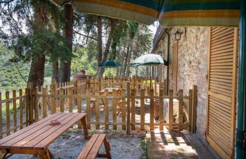 Dolce Vita - Foto 45