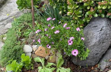 ANTICA BAITA - Foto 45