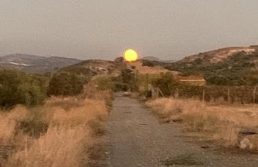 House Euphoria - Foto 26