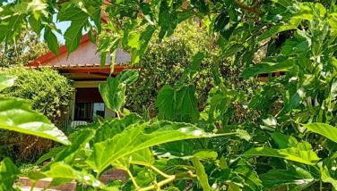 Rural hοuse - Foto 4, Garden view