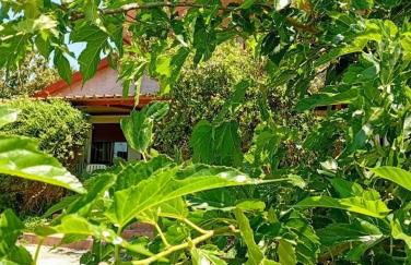 Rural hοuse - Foto 4