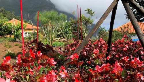 Quinta da Colina - Foto 4