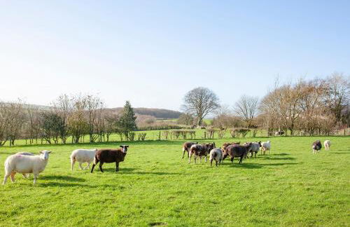 The Tabernacle-Uk41753 - Foto 24