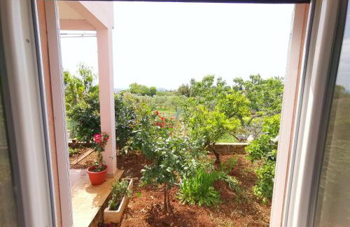 Apartment Ani - Foto 15