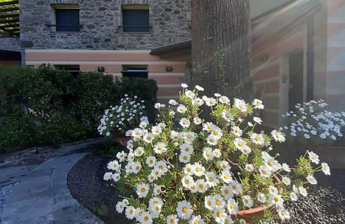 Il Bosco di Campo Marzano studios - Foto 34