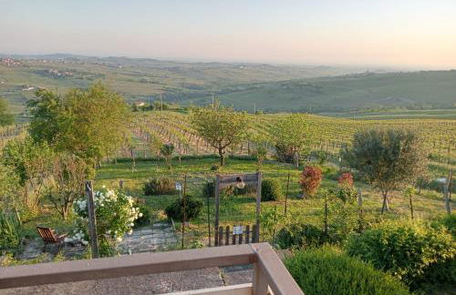 NiFe Tiny House - Secret Garden - Photo 60