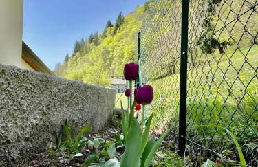 Maso Patrizia - Il tuo rifugio nella natura - Foto 11