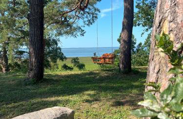 Domki na Skarpie - Wypoczynek z widokiem na Zalew - Frombork - Foto 42