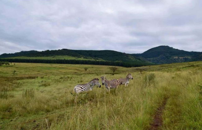 Excursão privada a Eswatini - Foto 5