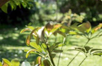 Valashouse - Foto 73