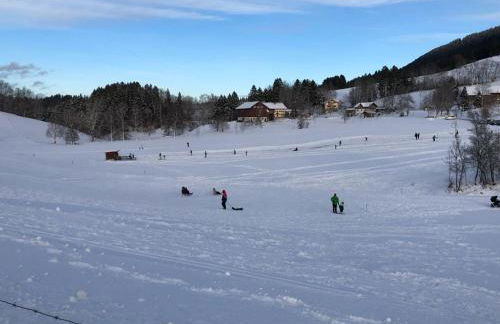Ferienwohnung Aigisblick mit Pool und Sauna, direkt am Skihang - Foto 24