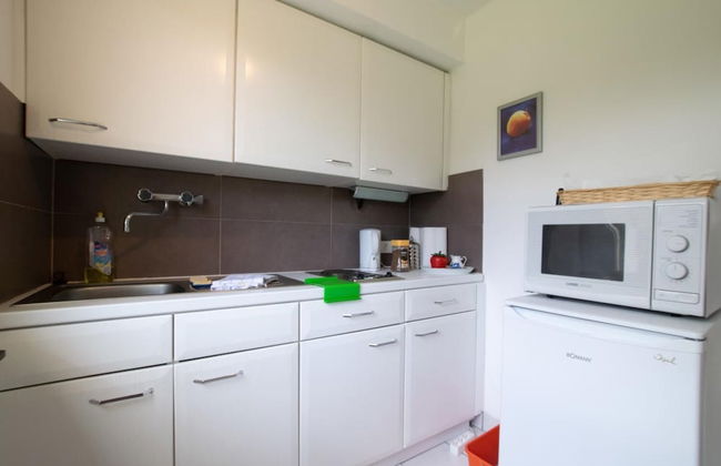 Tolstov-Hotels Big Room Apartment - Photo 14