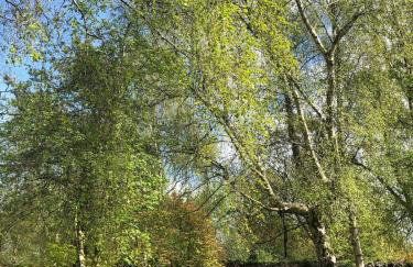 Cheshire Country Cottage, Bulkeley - Foto 24