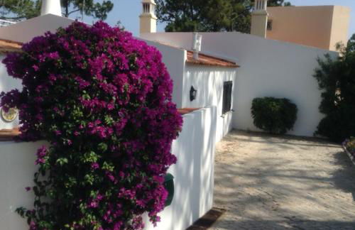 Casa Nicho - Photo 11