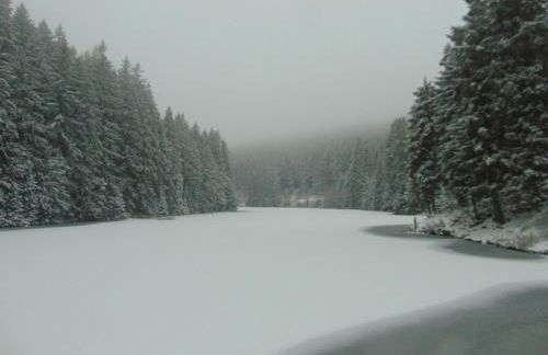 Apartment in Wildemann Near Hahnenklee Ski Area - Foto 43