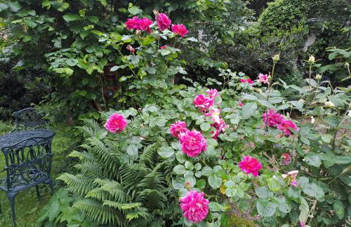 Paradiesgarten am Saaleufer - Foto 18