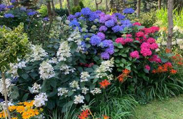 Mazurska Riwiera - Foto 25