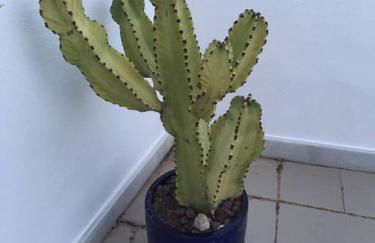 Vistas Cerro Negro - Foto 33